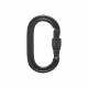 Black Diamond Oval Screwgate Carabiner